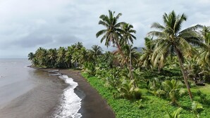 A beach with palm trees and a sandy shore. - Natalei Eco Lodge  (Dawasamu)