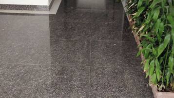 A corridor with a polished floor, a fire extinguisher mounted on the wall, and a potted plant on the right.