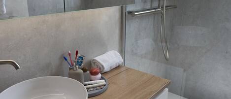 Ducha, secador de pelo, toallas y papel higiénico
