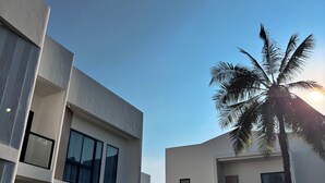 Un edificio moderno con techo plano, ventanas amplias y una palmera en primer plano.