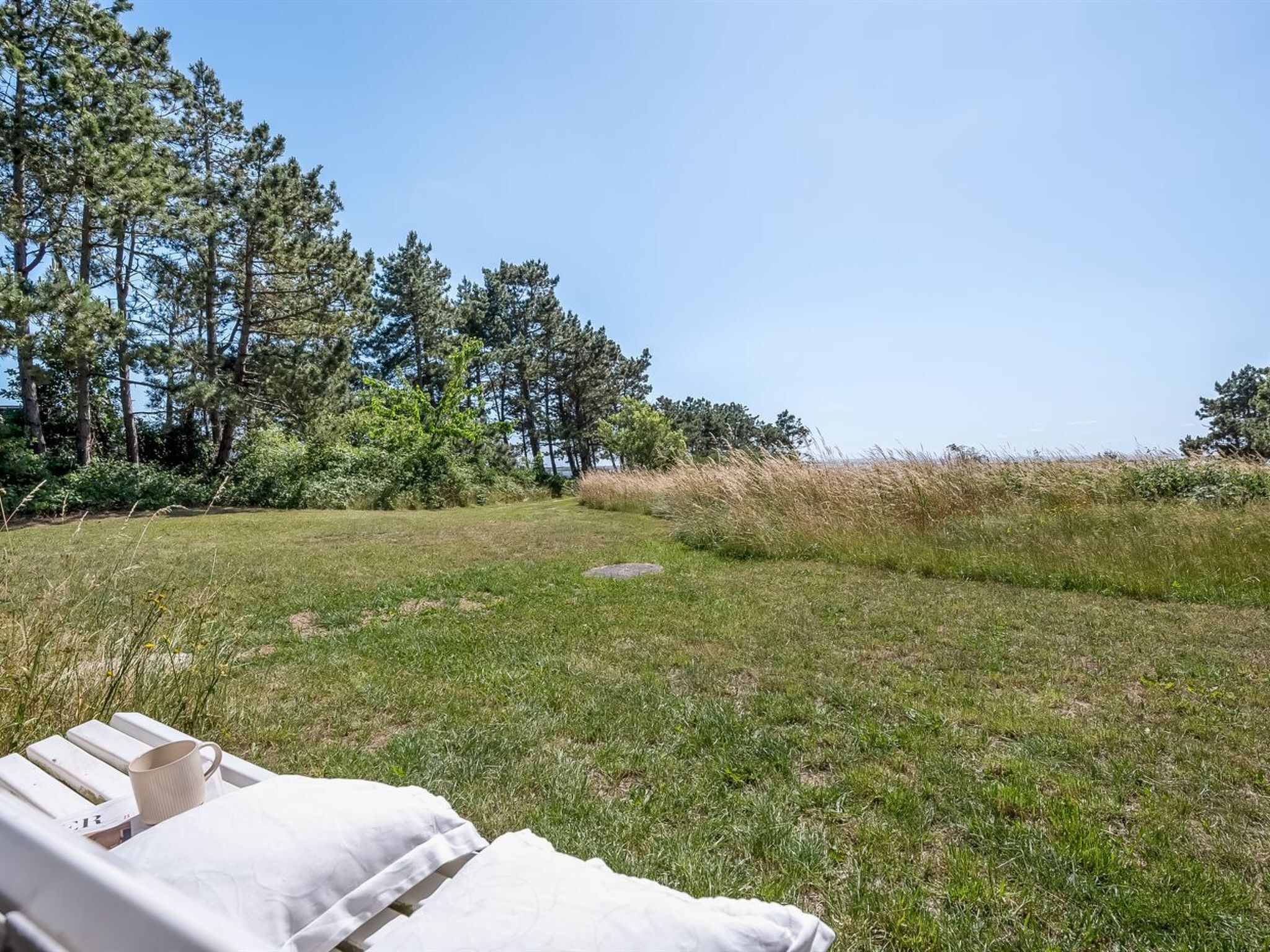 A grassy outdoor area with a lounge chair and a white cushion, surrounded by trees and a clear sky.