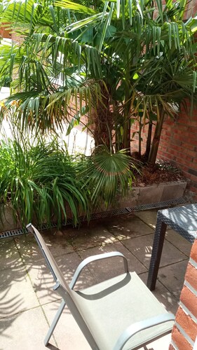 Studio für 2 bis 3 Persohnen mit Terrassemit, Spieplatz und 16 Angelteichen