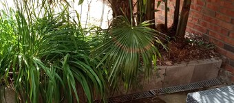 Studio for 2 to 3 persons with terrace, playground and 16 fishing ponds