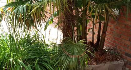Studio für 2 bis 3 Persohnen mit Terrassemit, Spieplatz und 16 Angelteichen