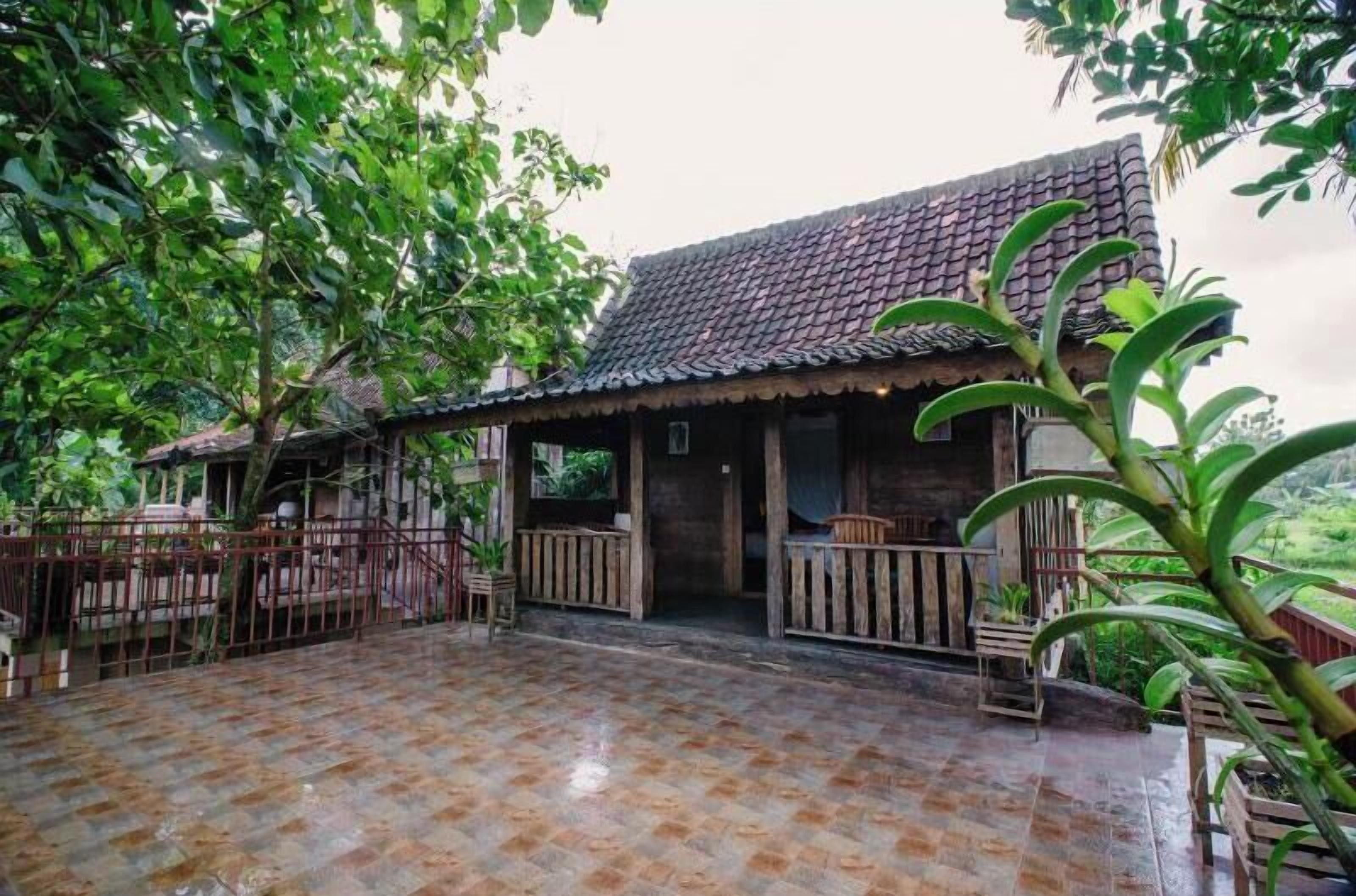 Anggrek Wooden Suite | Terrace/patio