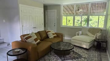 TV connectée, cheminée