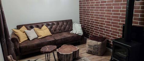 Fernseher, Kamin, Bücher