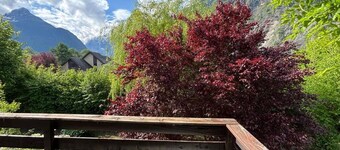 L'Edelweiss - Detached house with garden