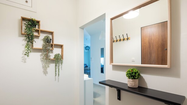 A hallway with a black shelf holding a potted plant, a wooden-framed mirror, and a wall-mounted plant arrangement. - Theai 1-Bedroom Apartment in Athens (Athens)