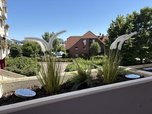 Terrain de l’hébergement 