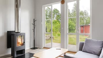 Televisión y chimenea