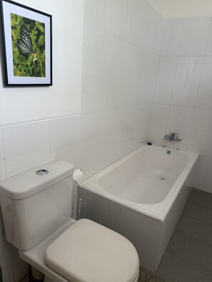 Ducha, bidet, toallas, jabón