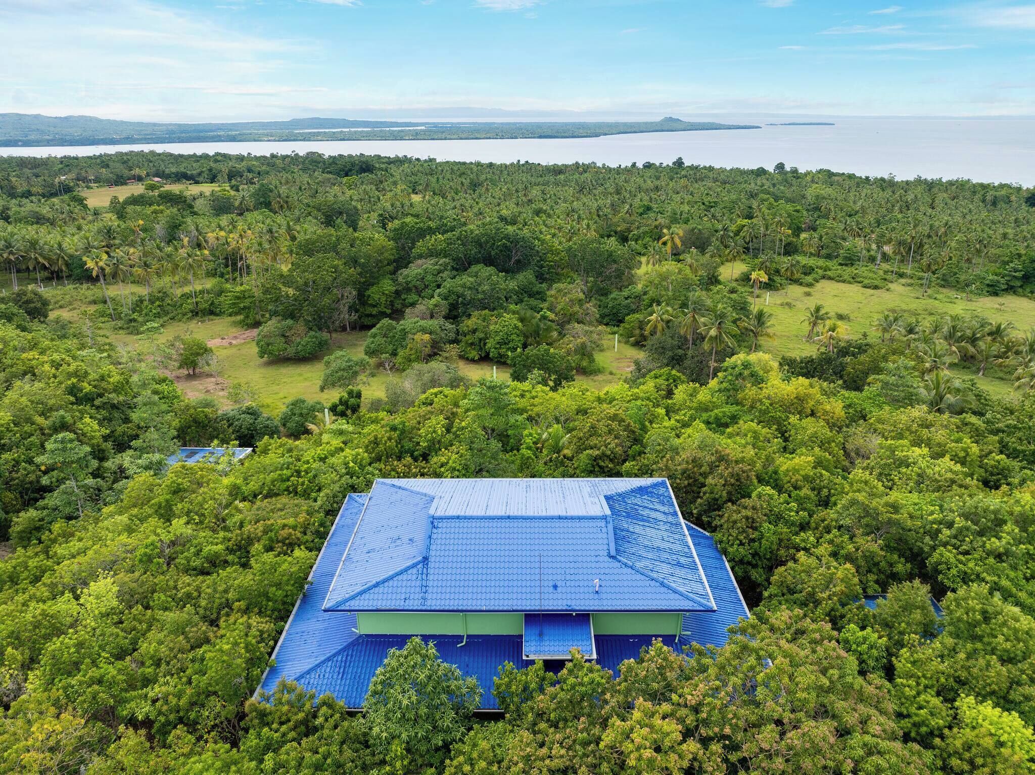 A house with a blue roof surrounded by dense green forest and a large body of water in the background.