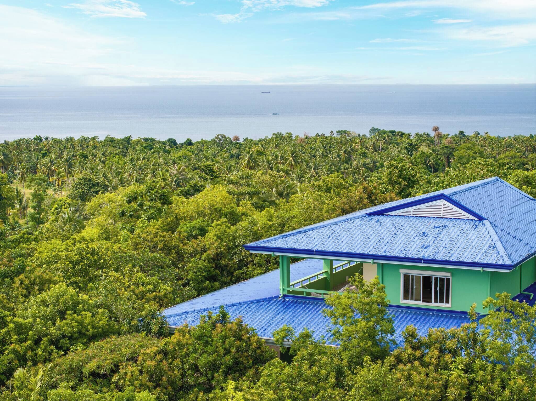 A house with a blue roof surrounded by dense tropical vegetation and a view of the ocean.