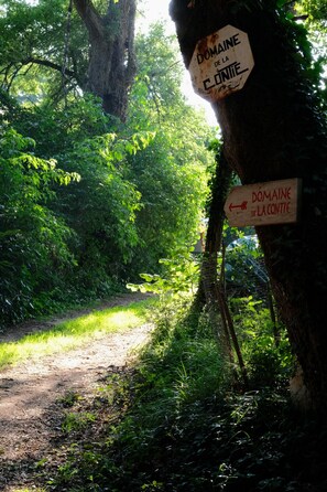 Property grounds - Domaine de La Contie – 17th-Century Chartreuse in the Heart of 20 Hectares of Nature (Issac)