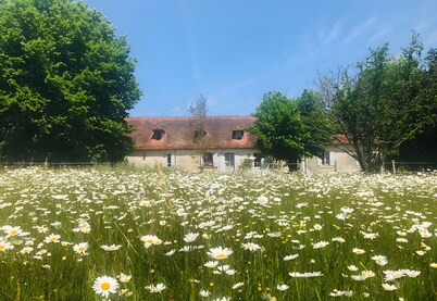 Domaine de La Contie – 17th-Century Chartreuse in the Heart of 20 Hectares of Nature