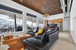 TV, fireplace, stereo