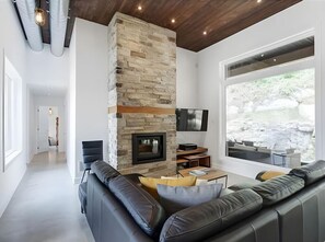 TV, fireplace, stereo