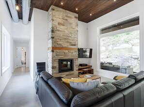 TV, fireplace, stereo