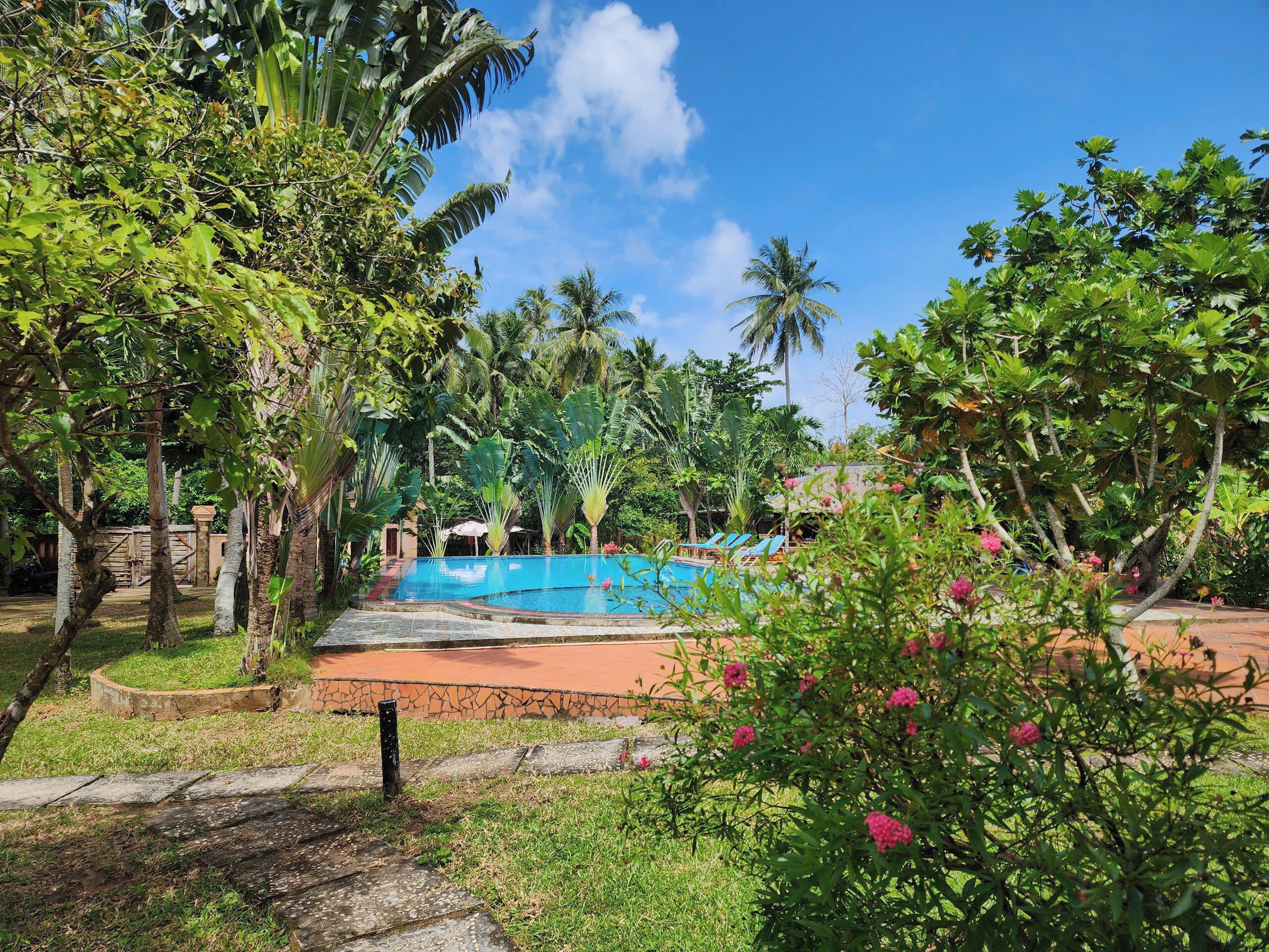 A pool area surrounded by lush greenery and palm trees.