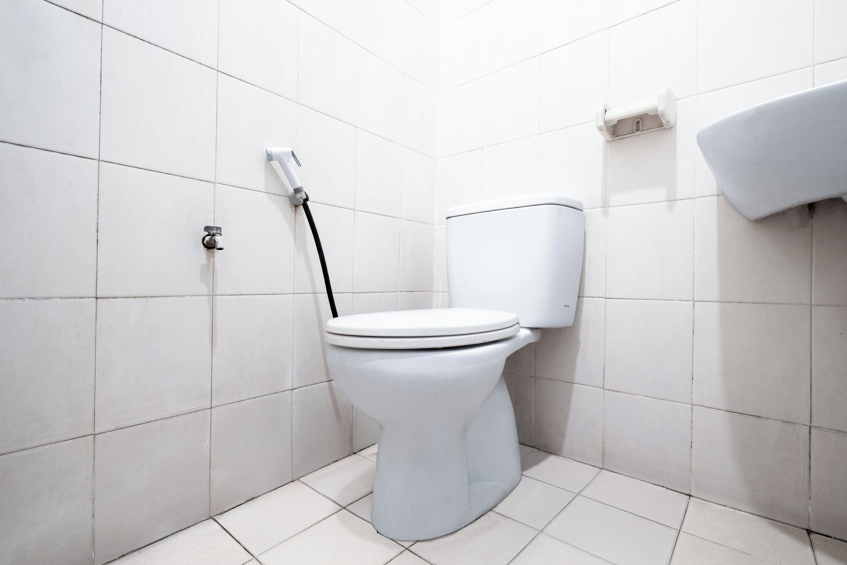 تجهيزات دش، مناشف