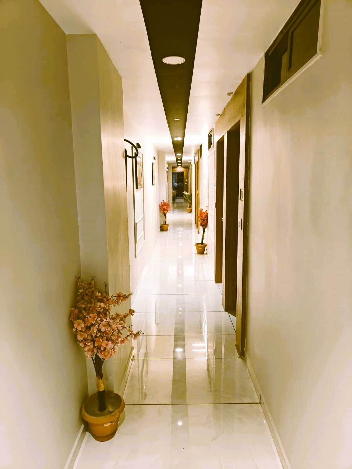 Un passadís d'hotel amb un sòl polit, plantes en testos i portes a banda i banda.