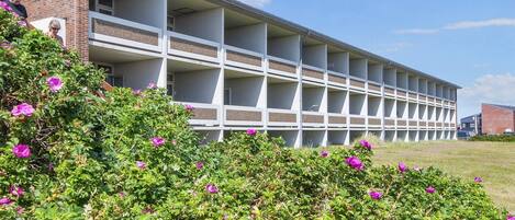 Apartment | Exterior