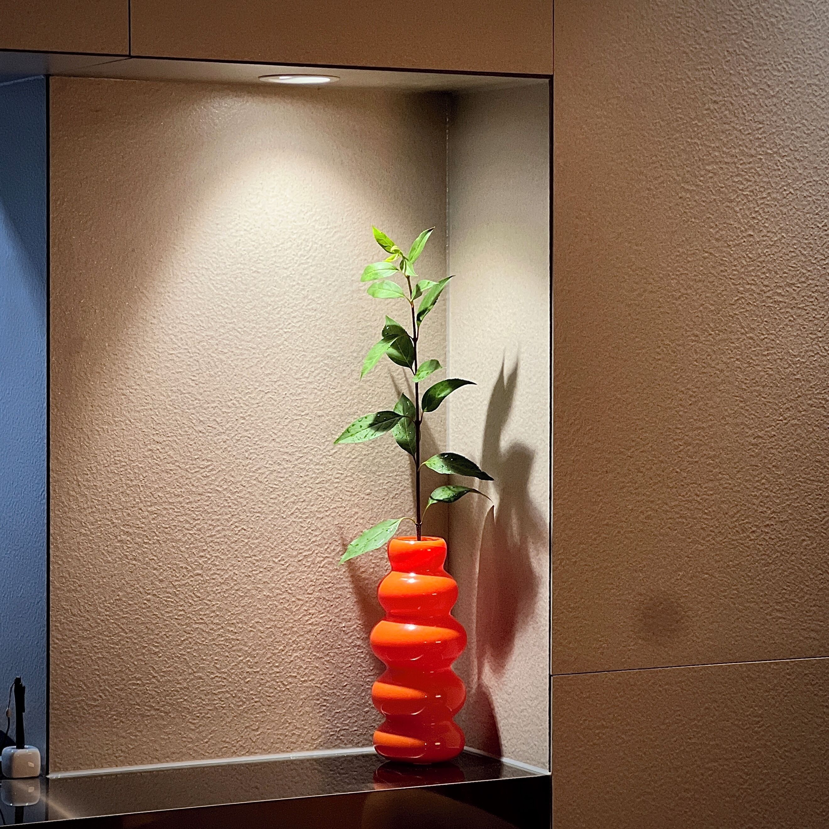 A corner with a textured wall, a reflective surface, and a plant in a unique orange vase.