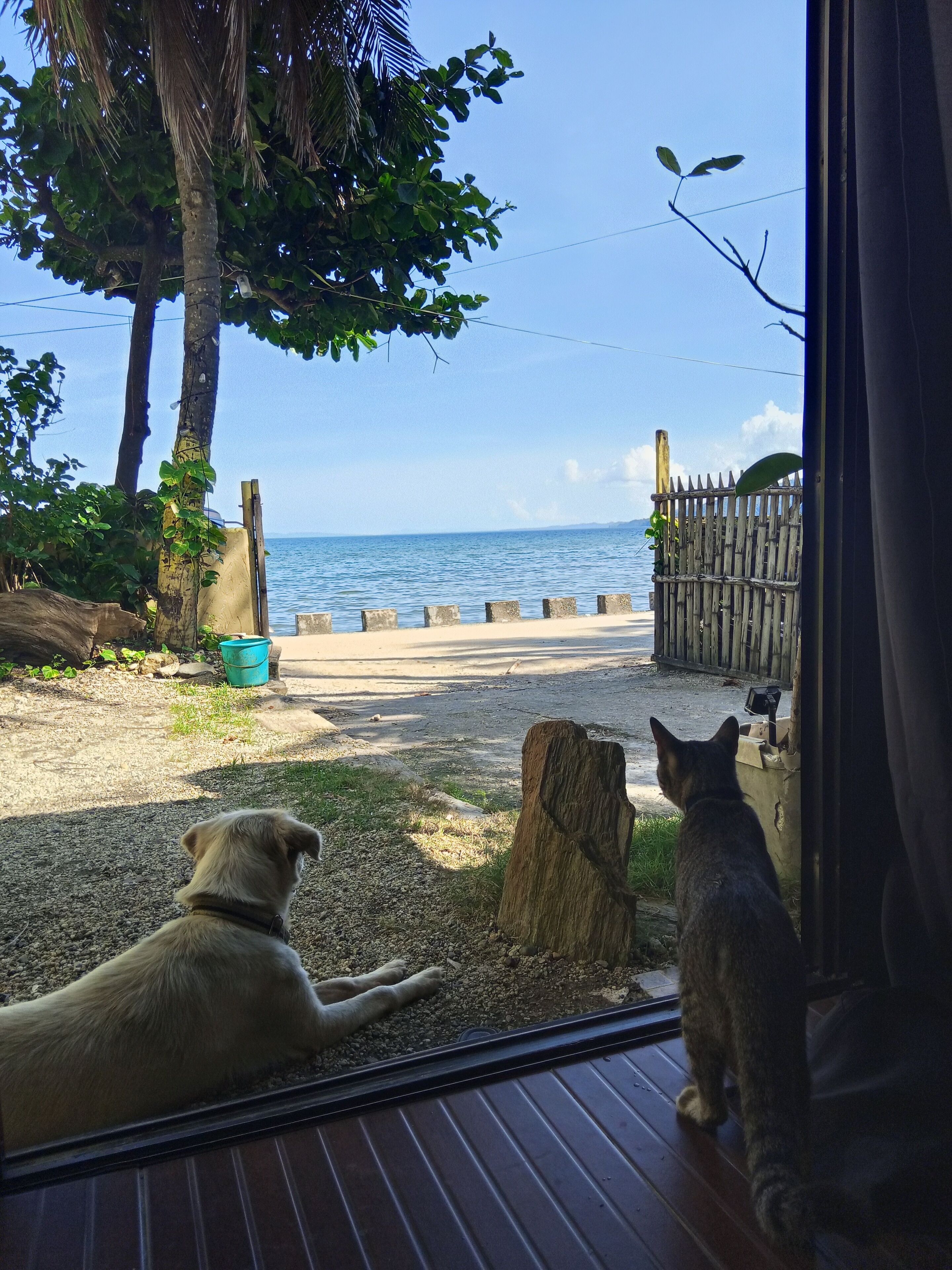 Talo, 1 makuuhuone, esteetön, tupakointi sallittu | Sisätilat