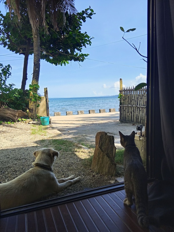 House, 1 Bedroom, Accessible, Smoking | Interior - Oceanfront Guest House (Puerto Galera)
