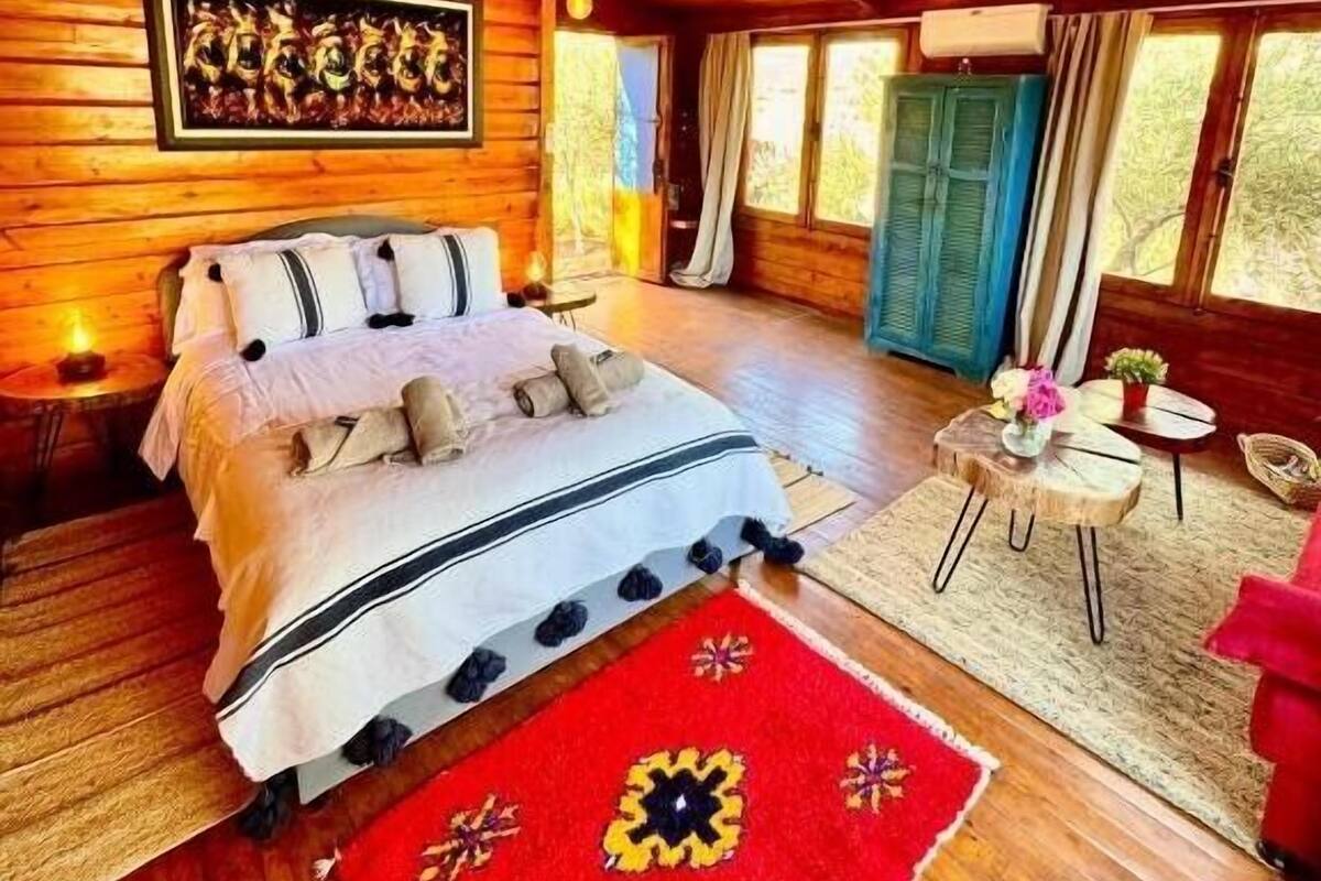 A wooden cabin bedroom with a bed, a red rug, and a small table with a plant.