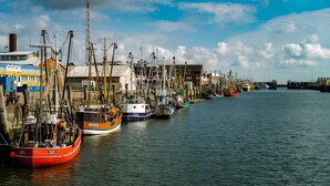 A harbor with multiple boats docked along the waterfront, a building with a blue and white facade, and a clear sky.