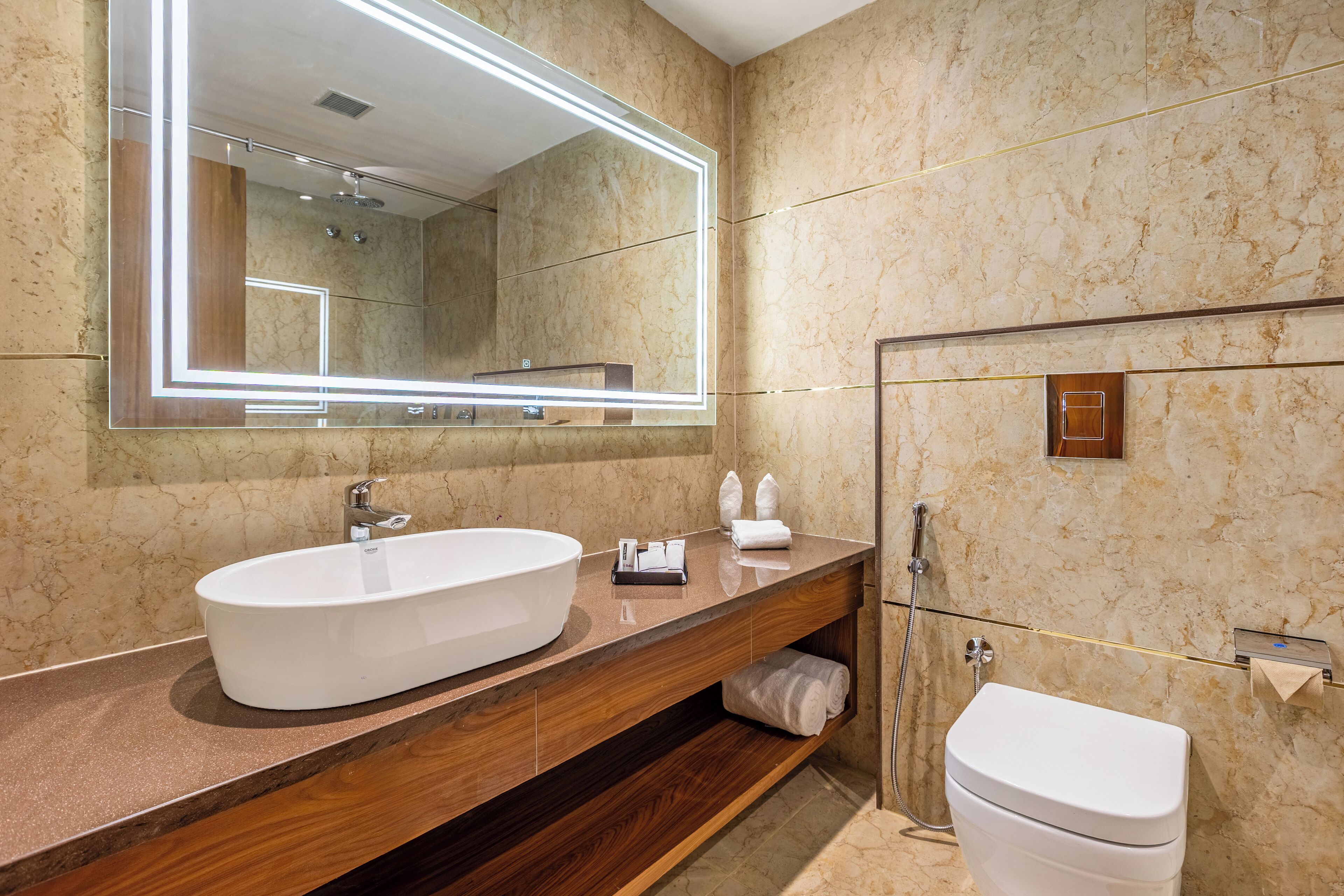 A modern bathroom with a large oval sink, a mirror with integrated lighting, a toilet, and a shower area.