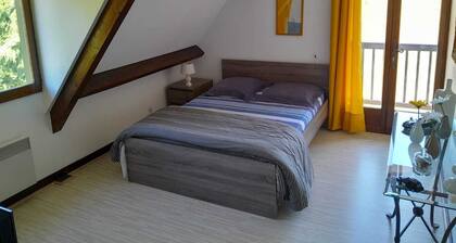 Charming house in a peaceful setting with access to a pond opposite