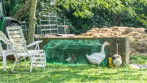 Terrain de l’hébergement 