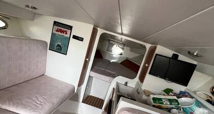 Tornado 38 Yacht - Panna Panna