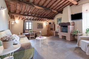 TV, fireplace, table tennis