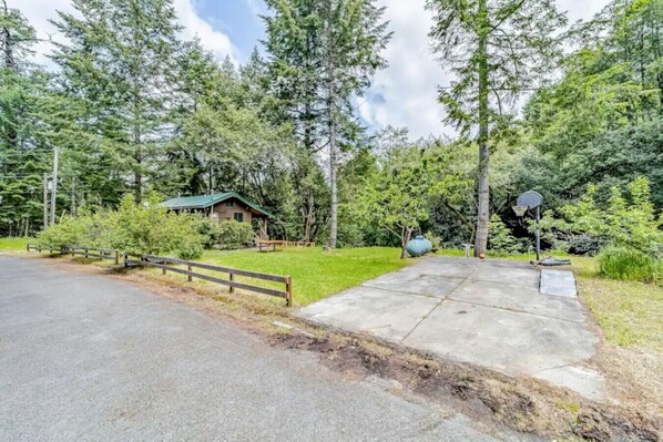 A rustic cabin surrounded by dense forest, a concrete driveway, and a basketball hoop.