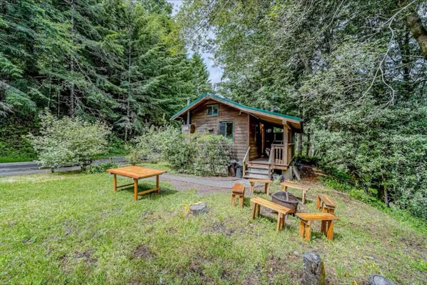 A rustic cabin with a porch, surrounded by dense forest. There are wooden benches and a table in the front yard.