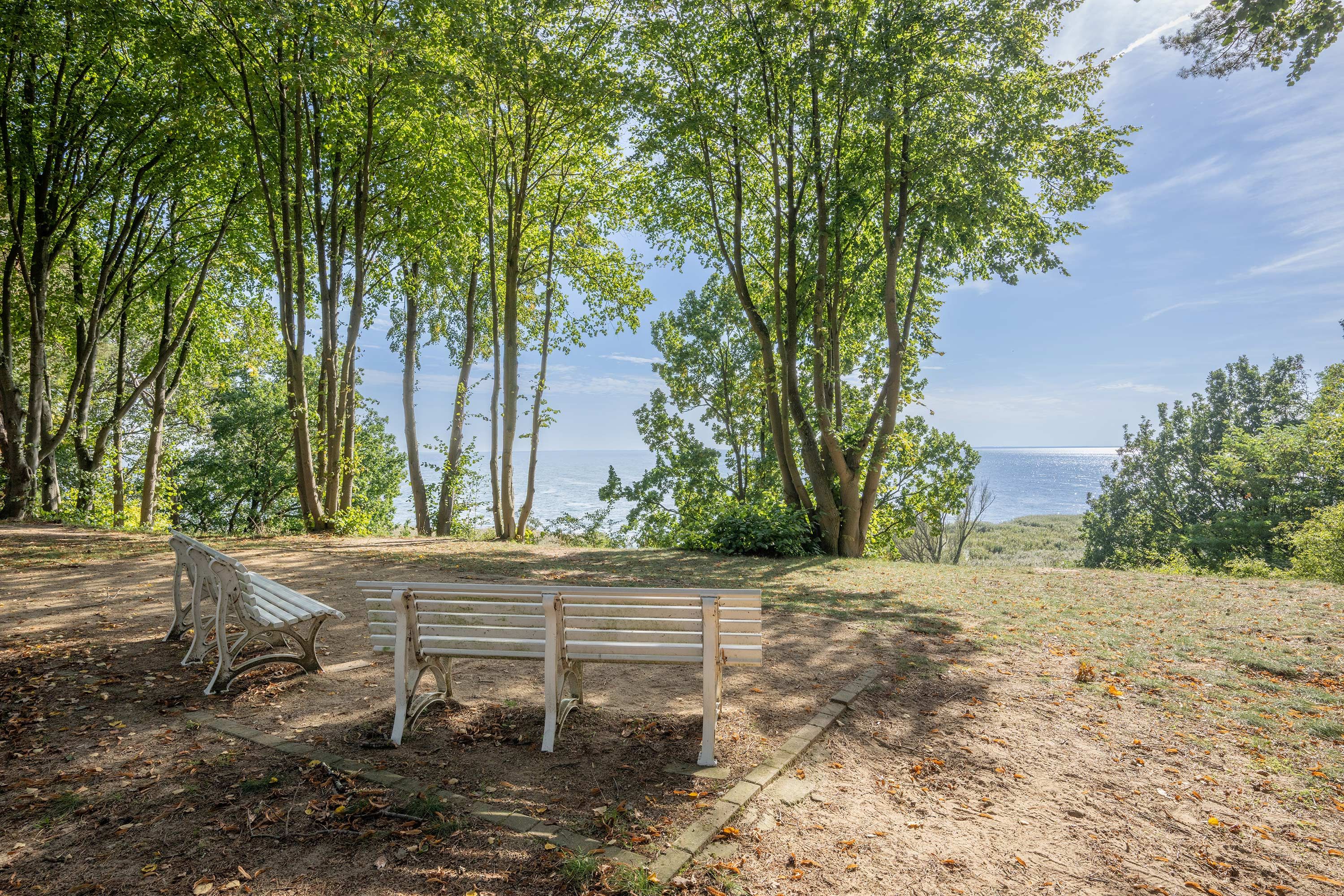 Un banc dans un parc, entouré d’arbres, avec vue sur l’eau.