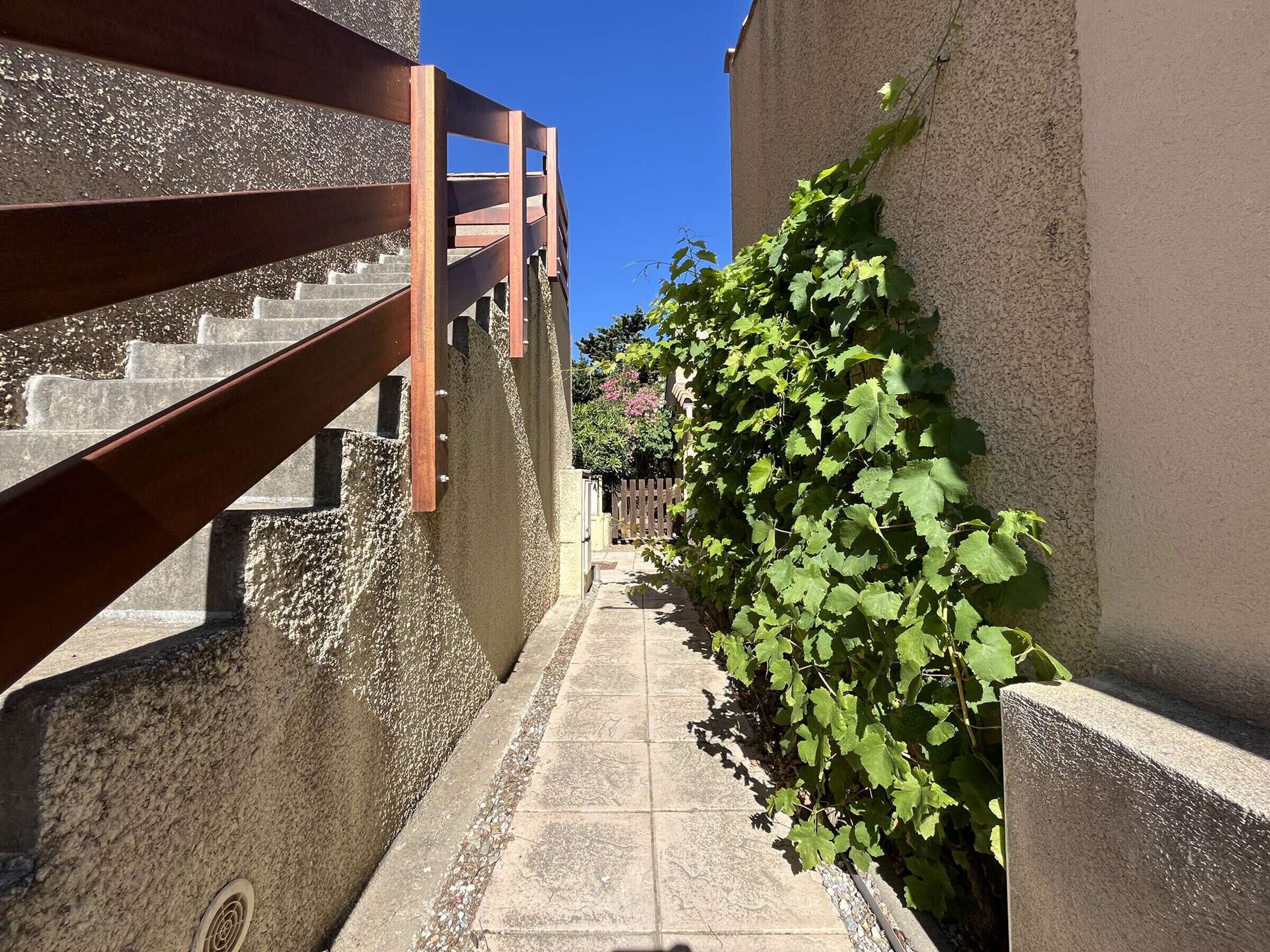 A narrow alleyway with a concrete staircase on the left and a wall covered in green vines on the right.