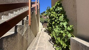 A narrow alleyway with a concrete staircase on the left and a wall covered in green vines on the right. - Pavilion with Sunny Terrace, Parking - Gruissan (Gruissan)