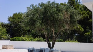 Un área de estar exterior moderna con un banco de piedra y dos sofás, rodeada por un muro blanco y abundante vegetación.