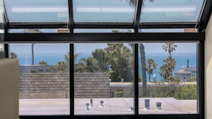 A view through a large window with a clear view of the ocean and palm trees.