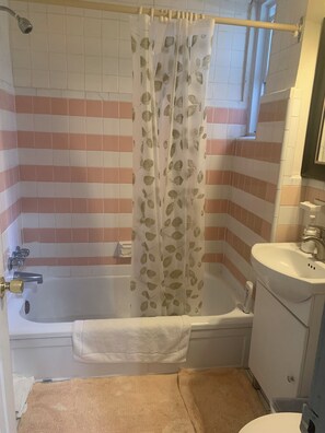 Sèche-cheveux, serviettes fournies, savon, papier toilette