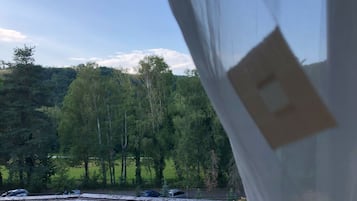 Deluxe Double Room, Park View | View from room