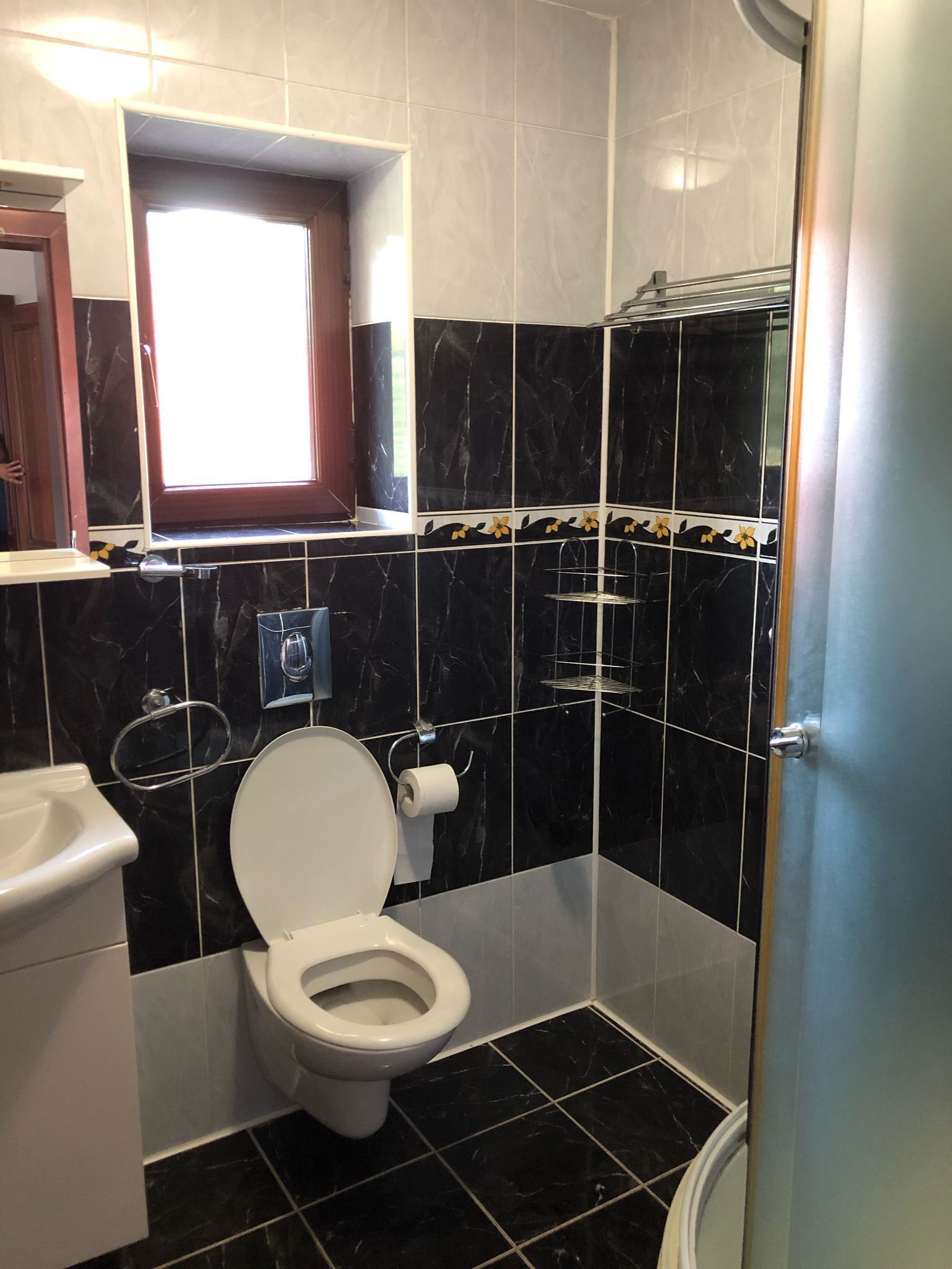 Un baño con inodoro, bidé y zona de ducha.