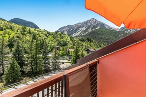 Apartamento familiar, varias habitaciones (Appartamento Alpine Inspiration) | Jardines del alojamiento