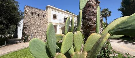 DĂ©tail de lâextĂ©rieur