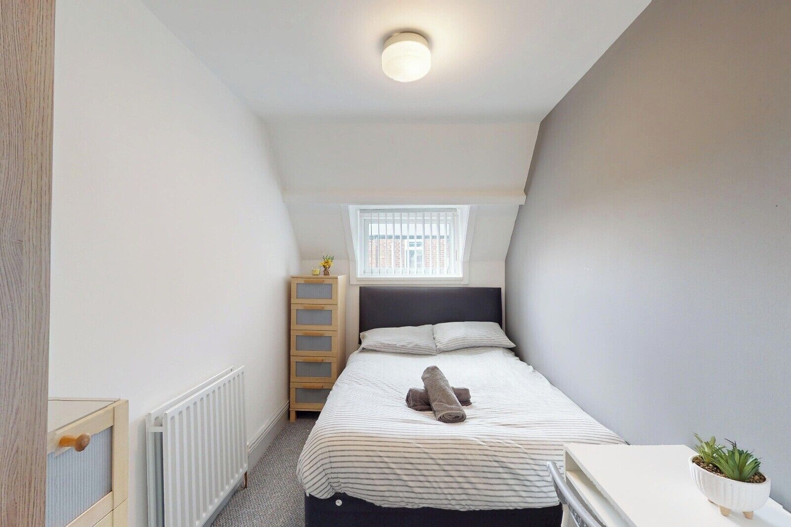 Et lille, aflangt værelse med en seng, en radiator, et vindue og en lille plante.